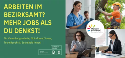 Mehr Jobs als du denkst Arbeiten im Bezirksamt