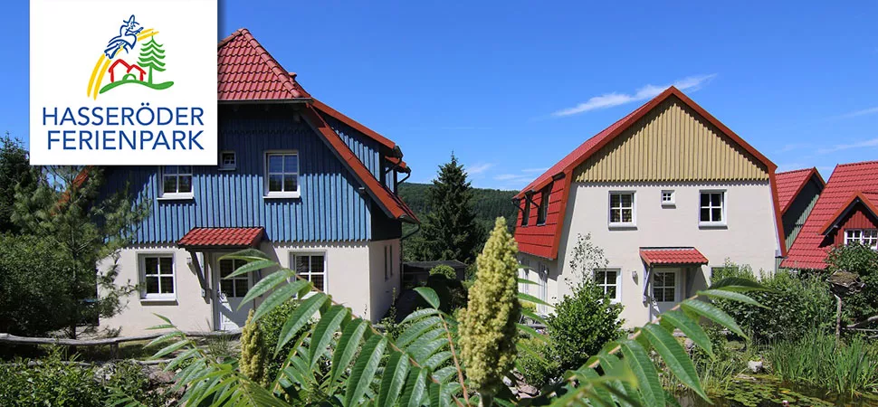 Zwei Ferienhäuser im Hasseröder Ferienpark