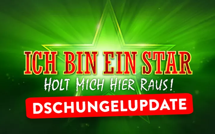 Dschungelcamp Updates