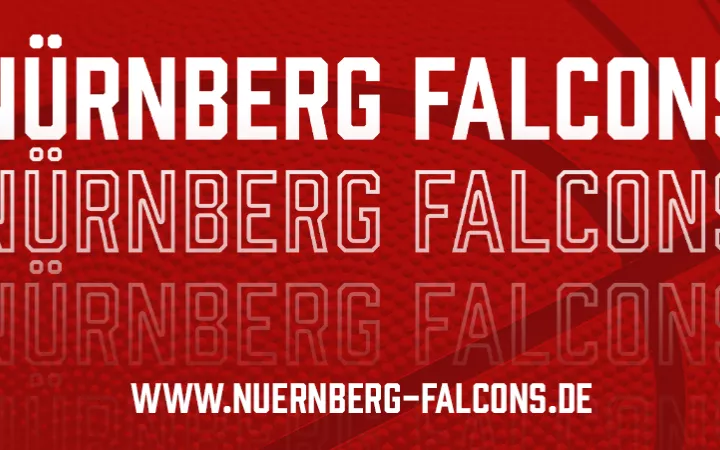 Nürnberg Falcons Grafik